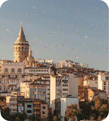 Hair Transplant in Istanbul